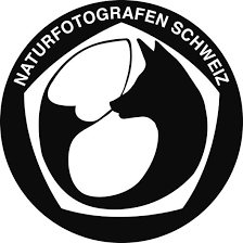 nfs logo